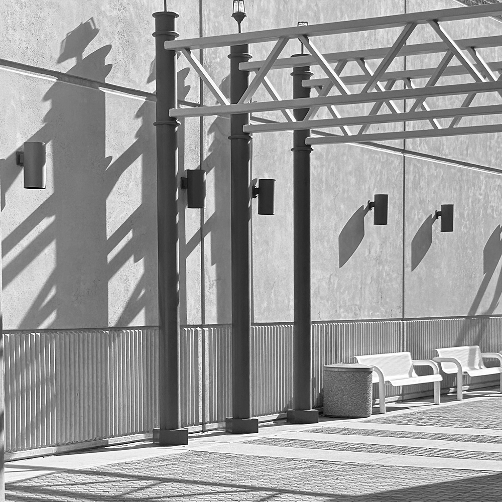 A concrete forward modern architectural campus design