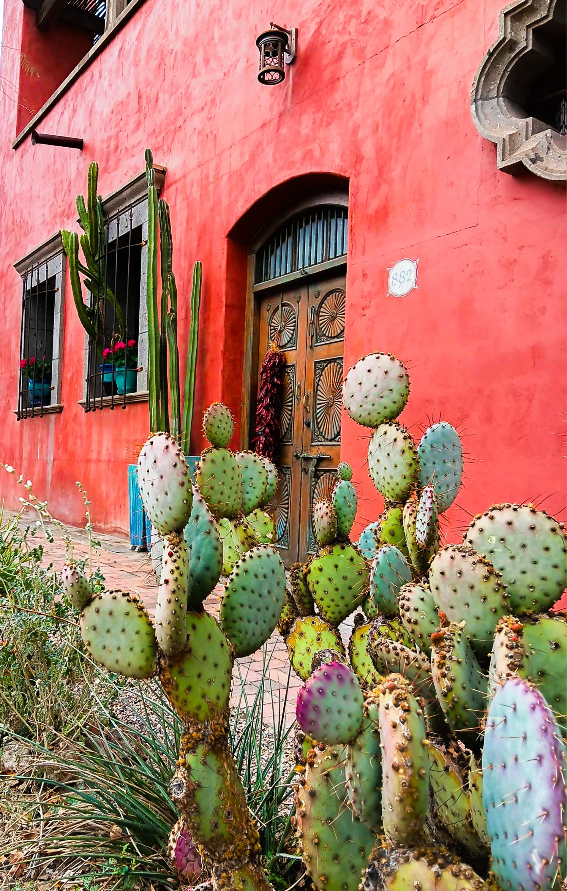 Casa Roja by Erli Galindo, 2024. Photo of the doorway of a red building with green prickly pears in the foreground.