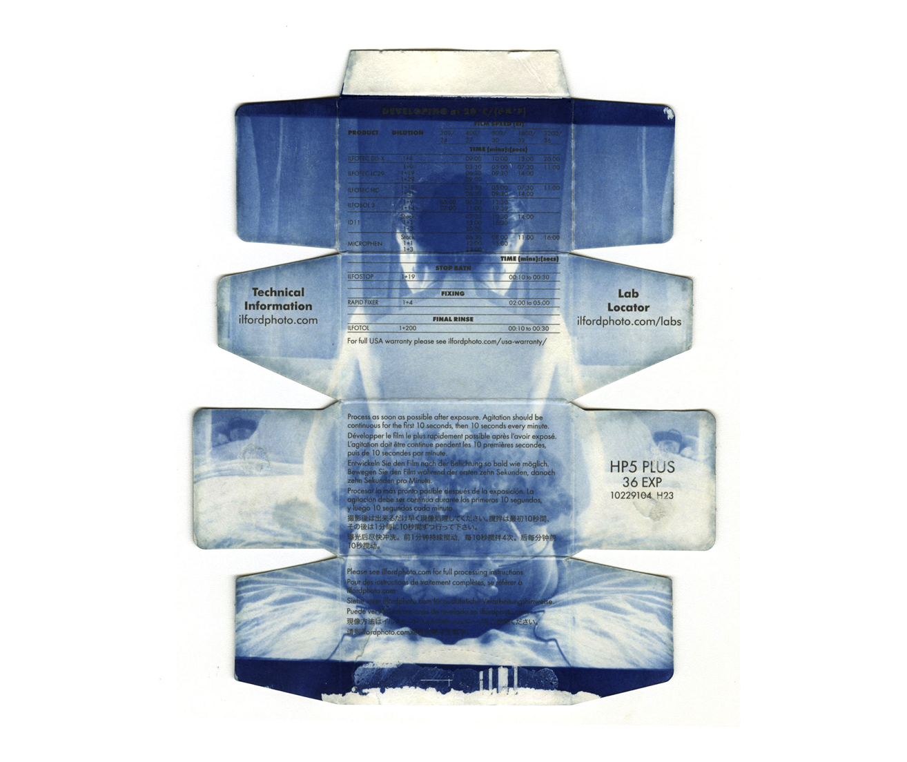 Cyanotype print by McKenzie Campas